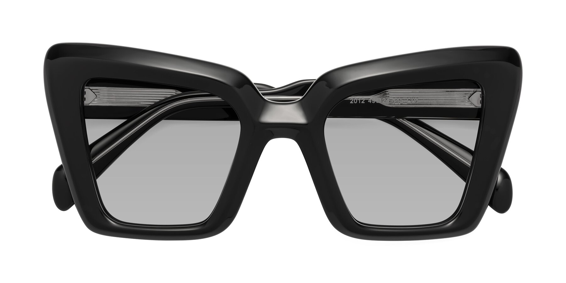 Folded Front of Swan in Black with Light Gray Tinted Lenses