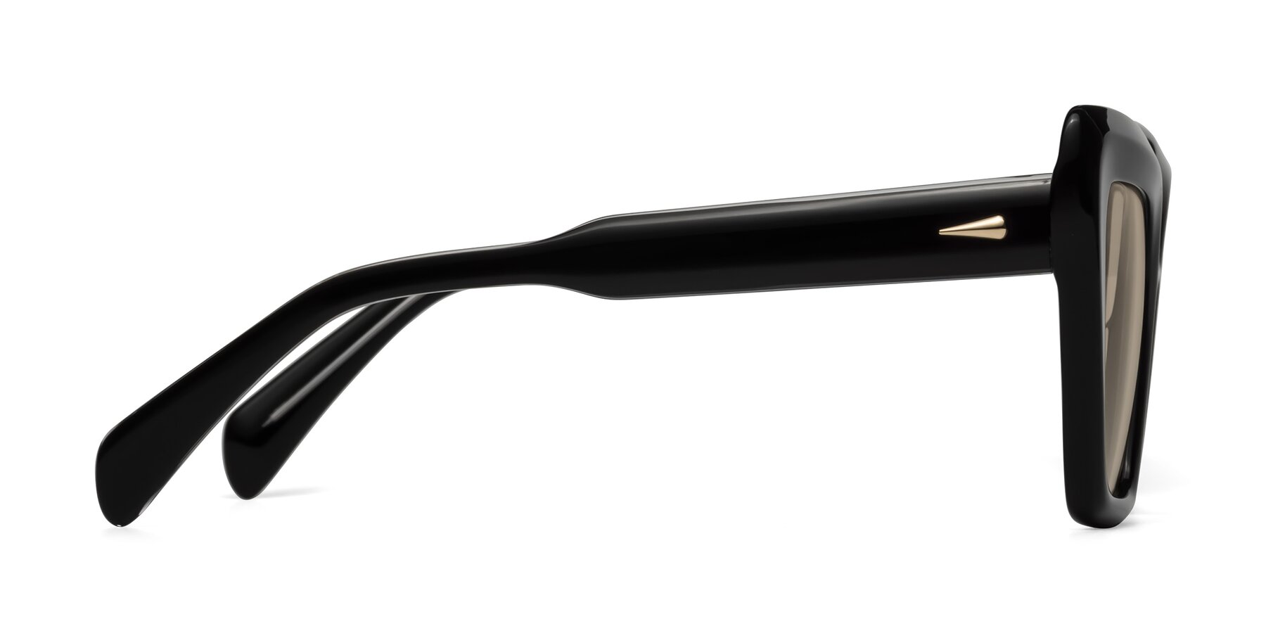 Side of Swan in Black with Light Brown Tinted Lenses