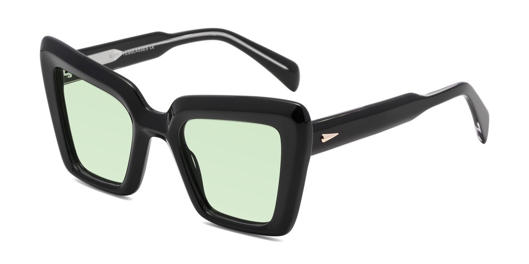 Angle of Swan in Black with Light Green Tinted Lenses