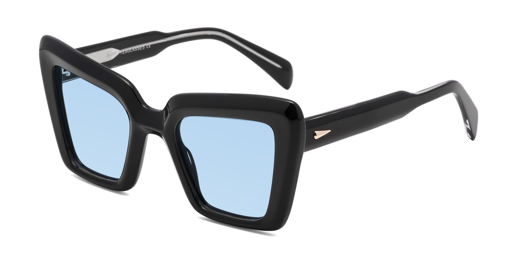Angle of Swan in Black with Light Blue Tinted Lenses