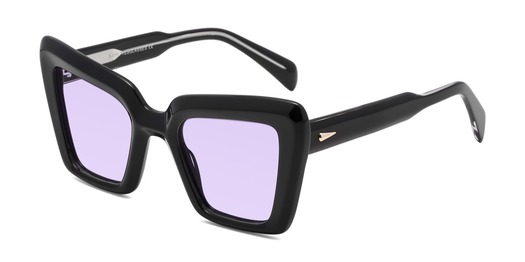 Angle of Swan in Black with Light Purple Tinted Lenses