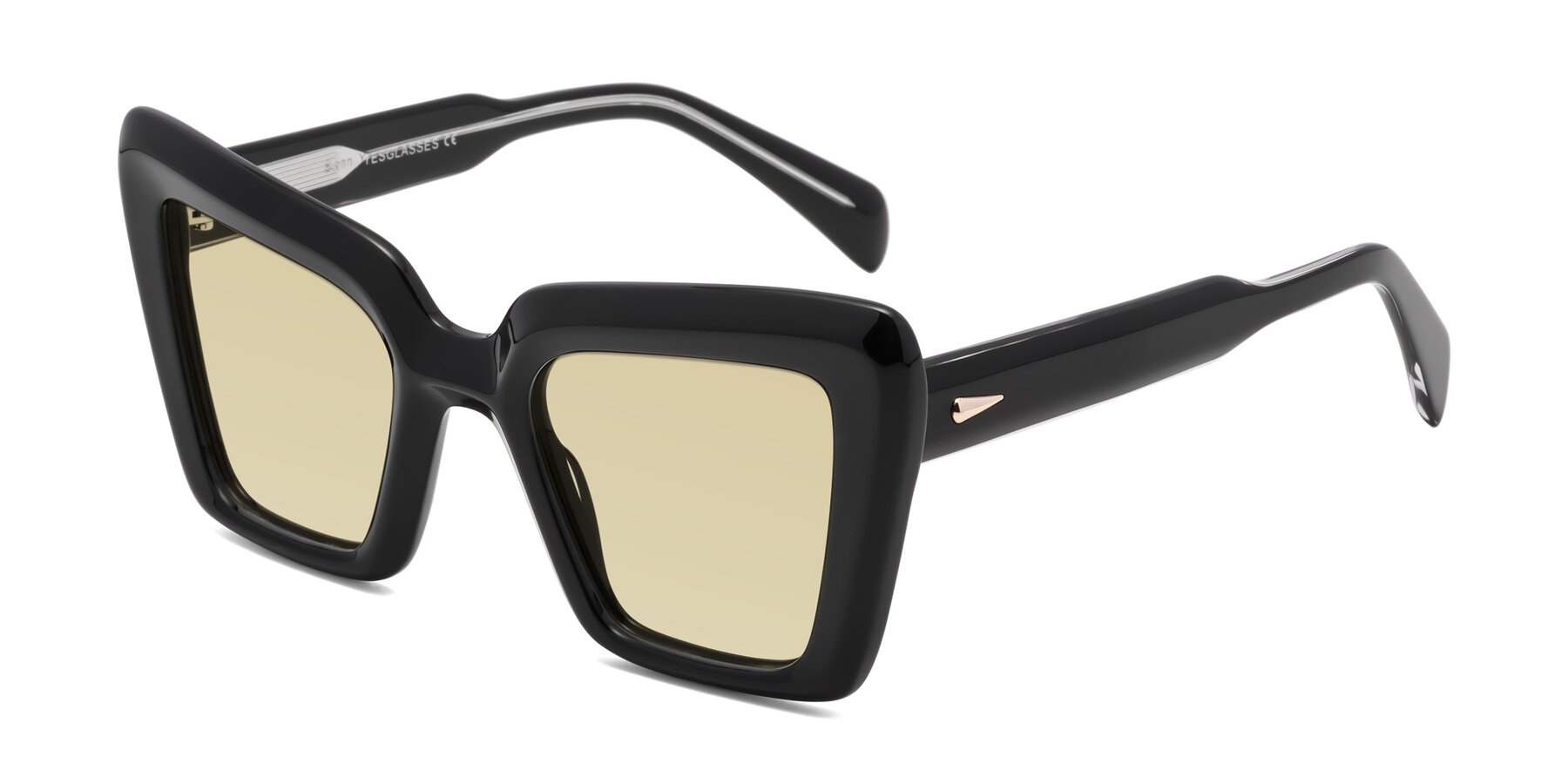 Angle of Swan in Black with Light Champagne Tinted Lenses