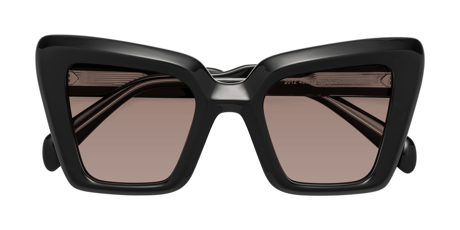 Folded Front of Swan in Black with Medium Brown Tinted Lenses