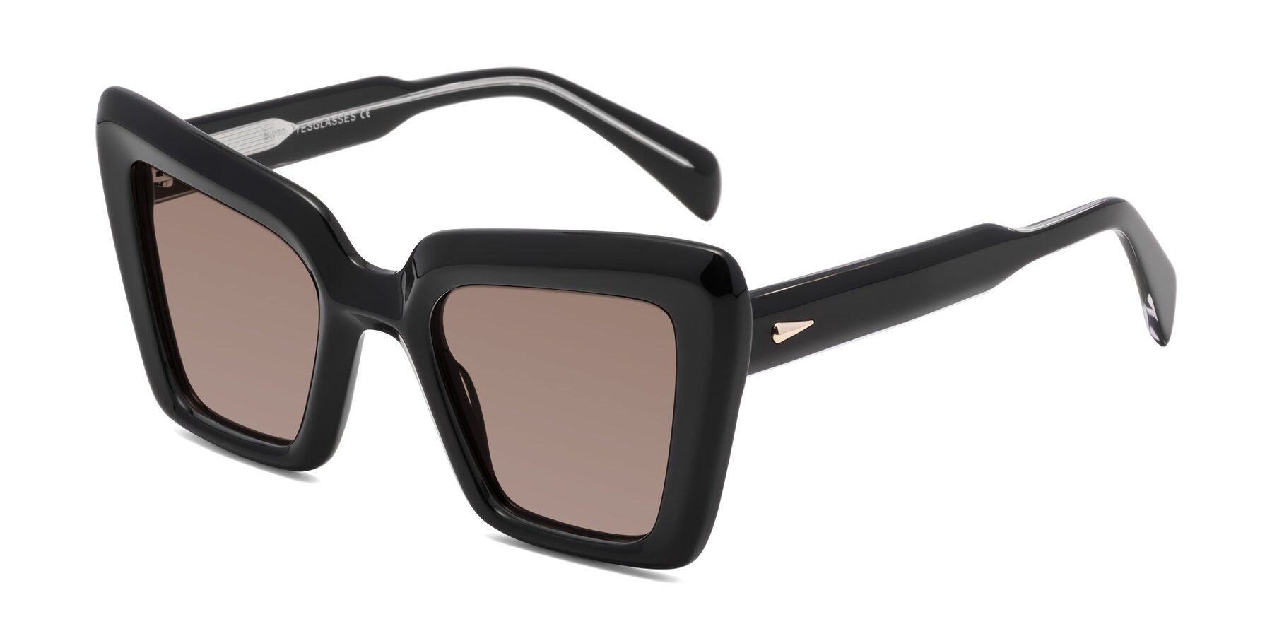 Angle of Swan in Black with Medium Brown Tinted Lenses