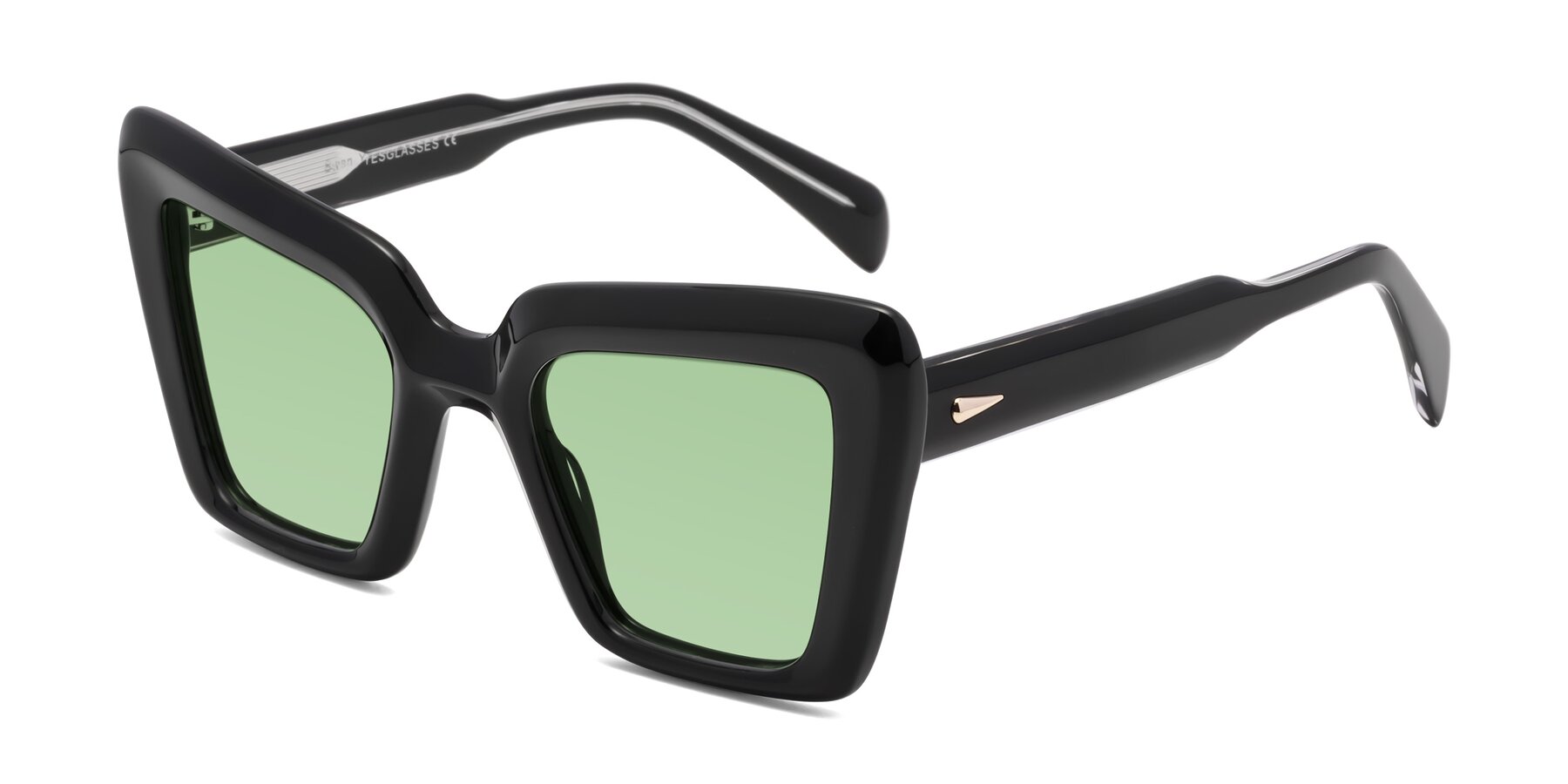Angle of Swan in Black with Medium Green Tinted Lenses