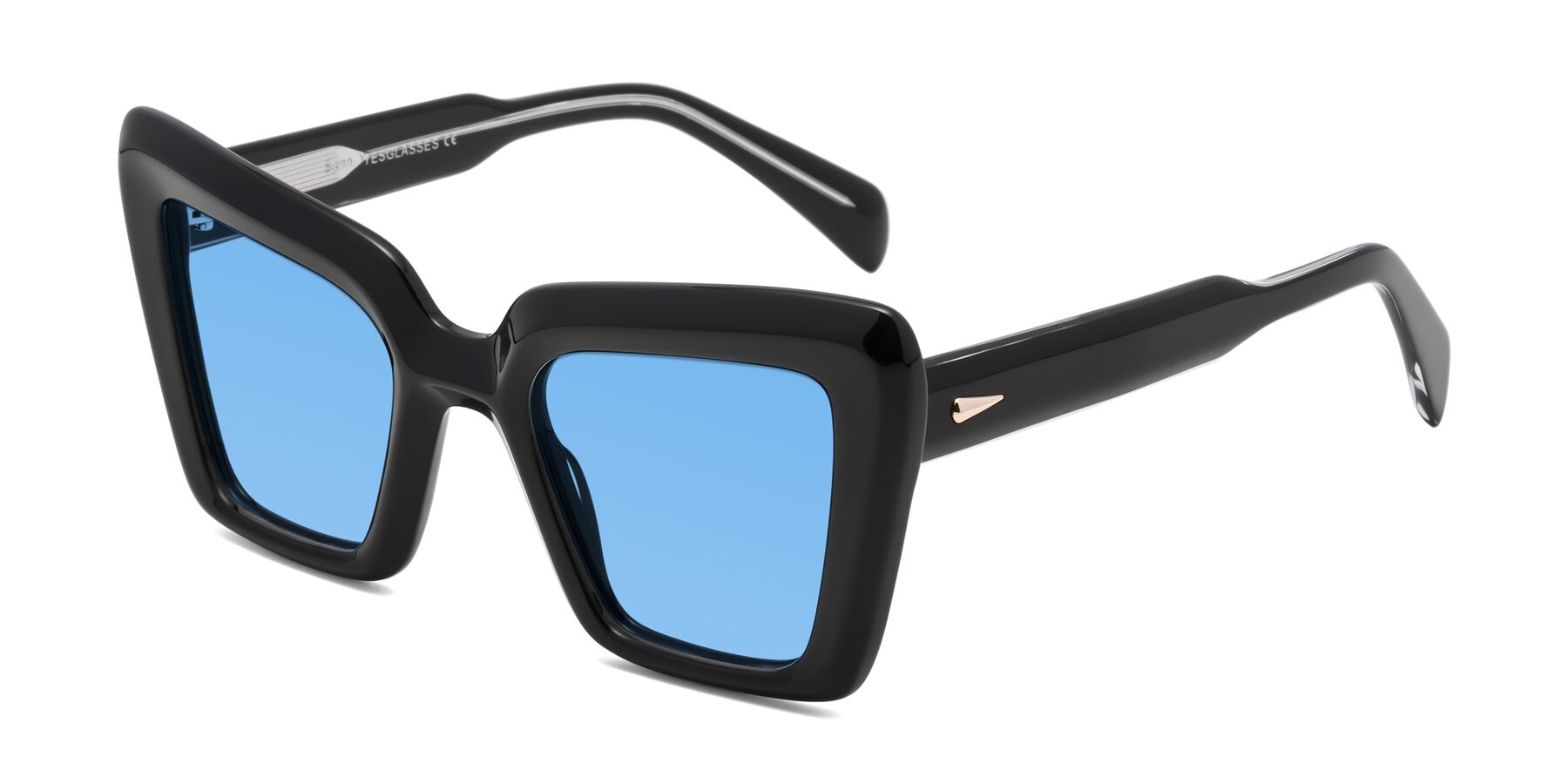 Angle of Swan in Black with Medium Blue Tinted Lenses