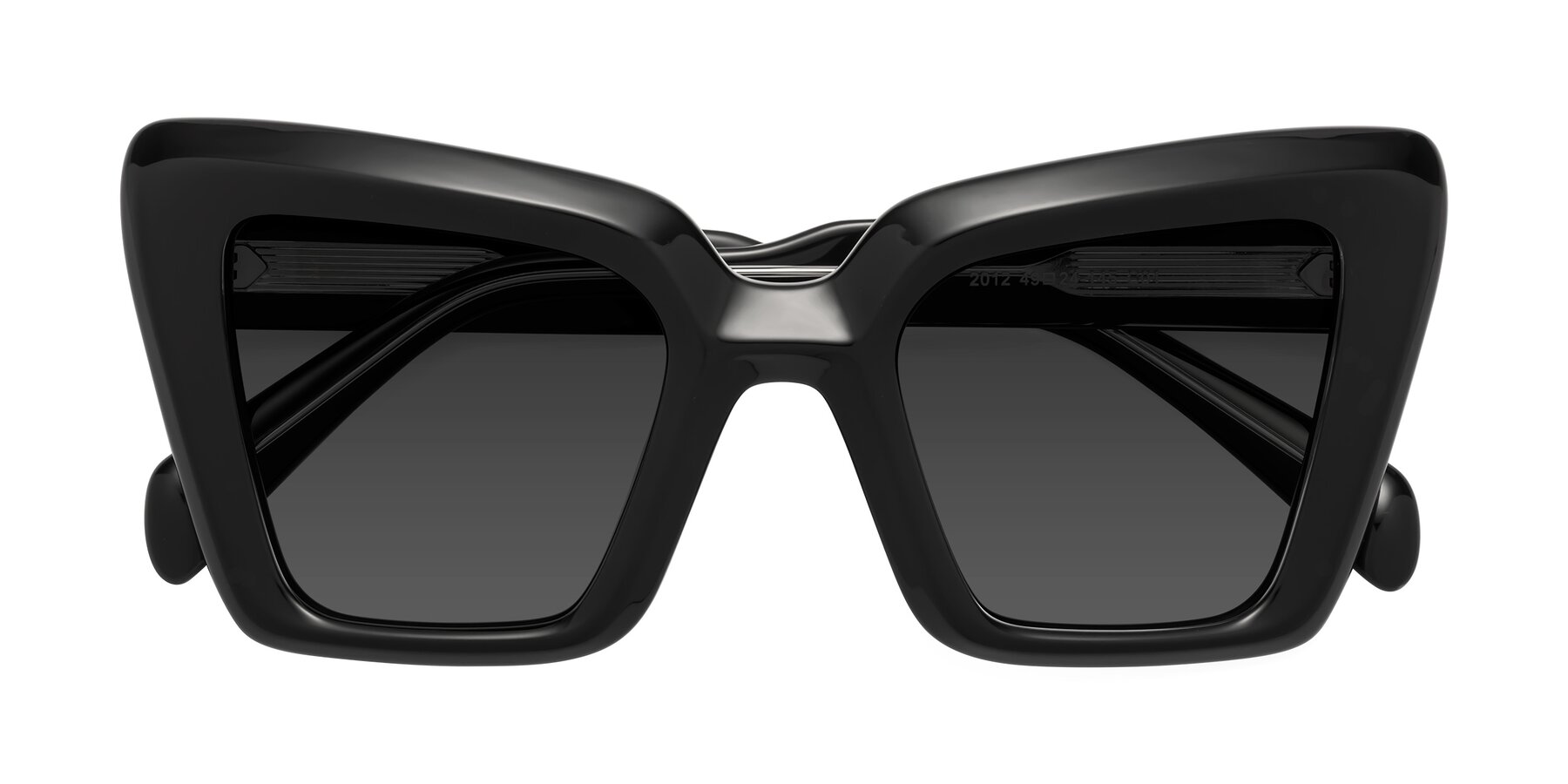 Folded Front of Swan in Black with Gray Tinted Lenses