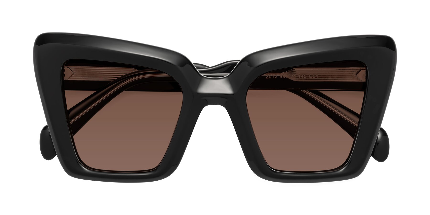 Folded Front of Swan in Black with Brown Tinted Lenses