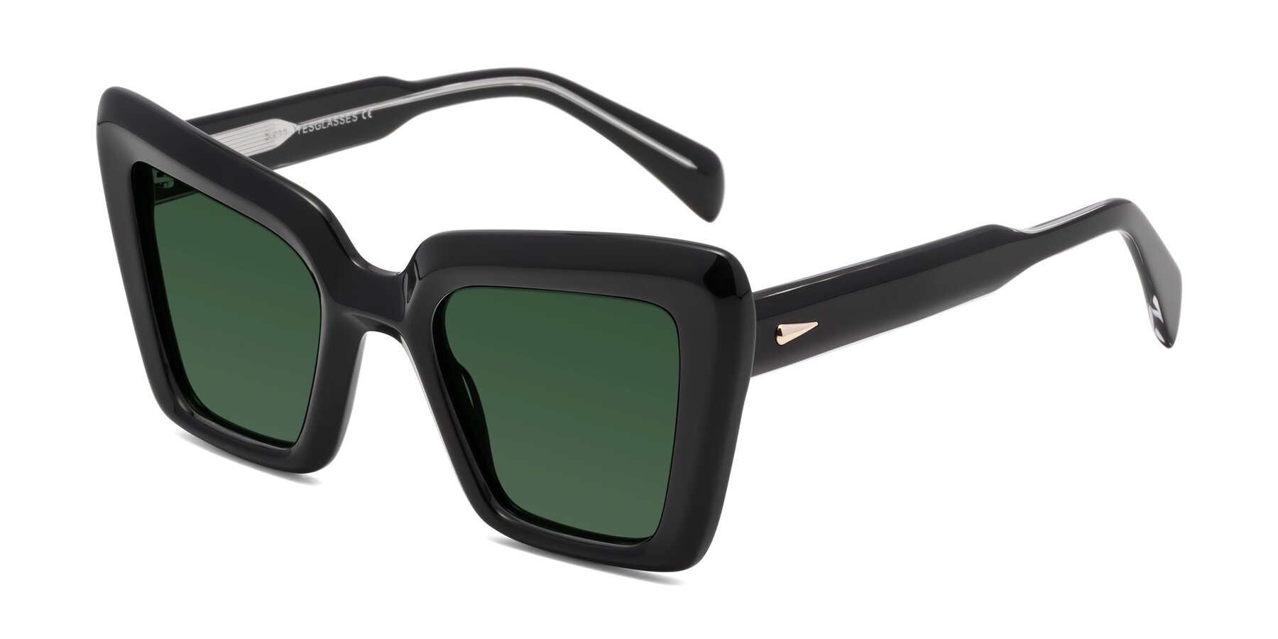 Angle of Swan in Black with Green Tinted Lenses