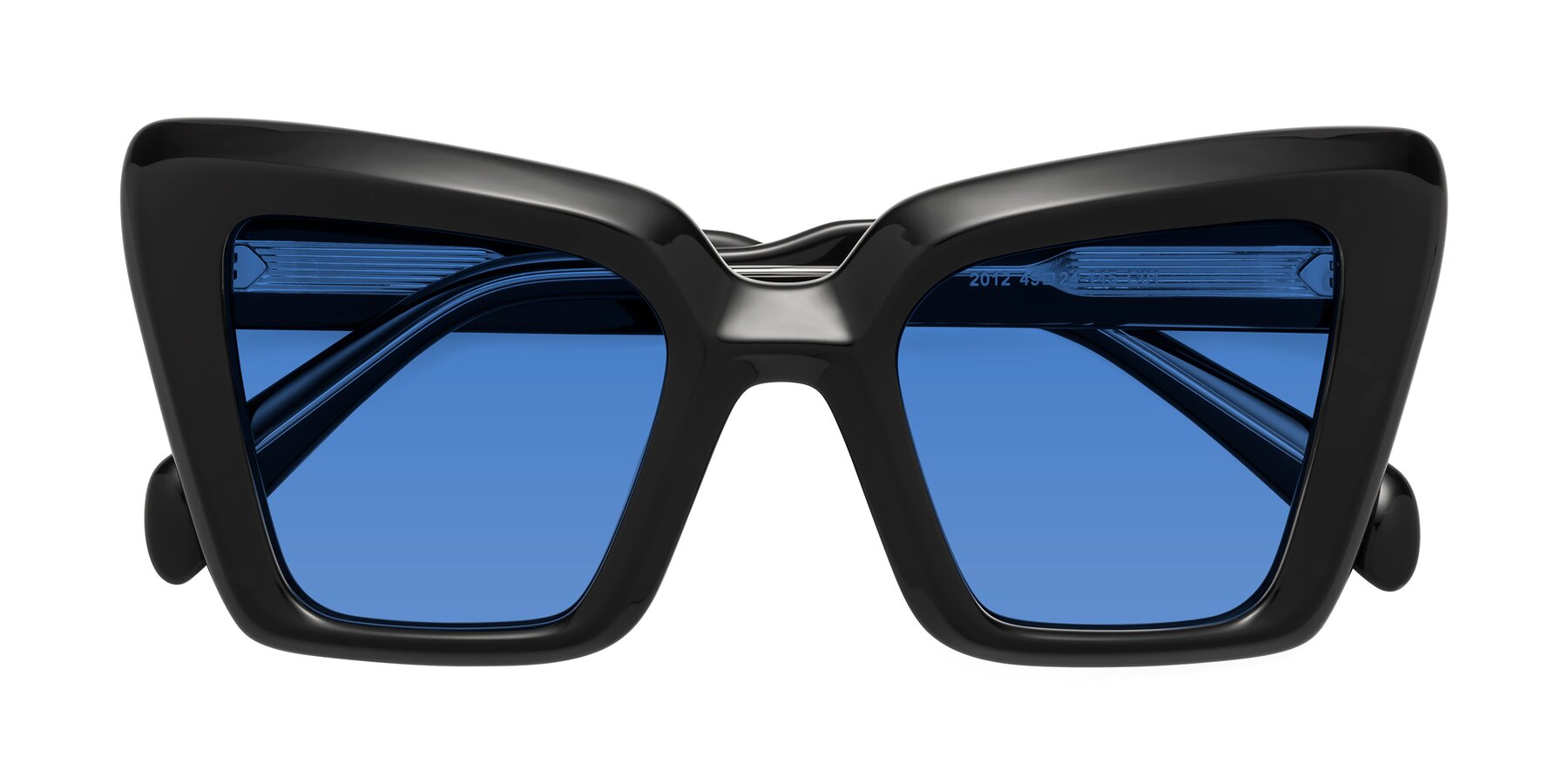 Folded Front of Swan in Black with Blue Tinted Lenses