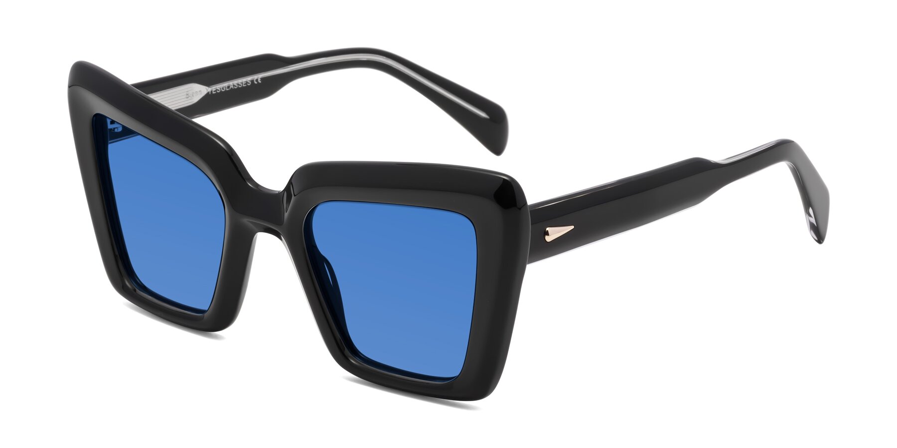 Angle of Swan in Black with Blue Tinted Lenses