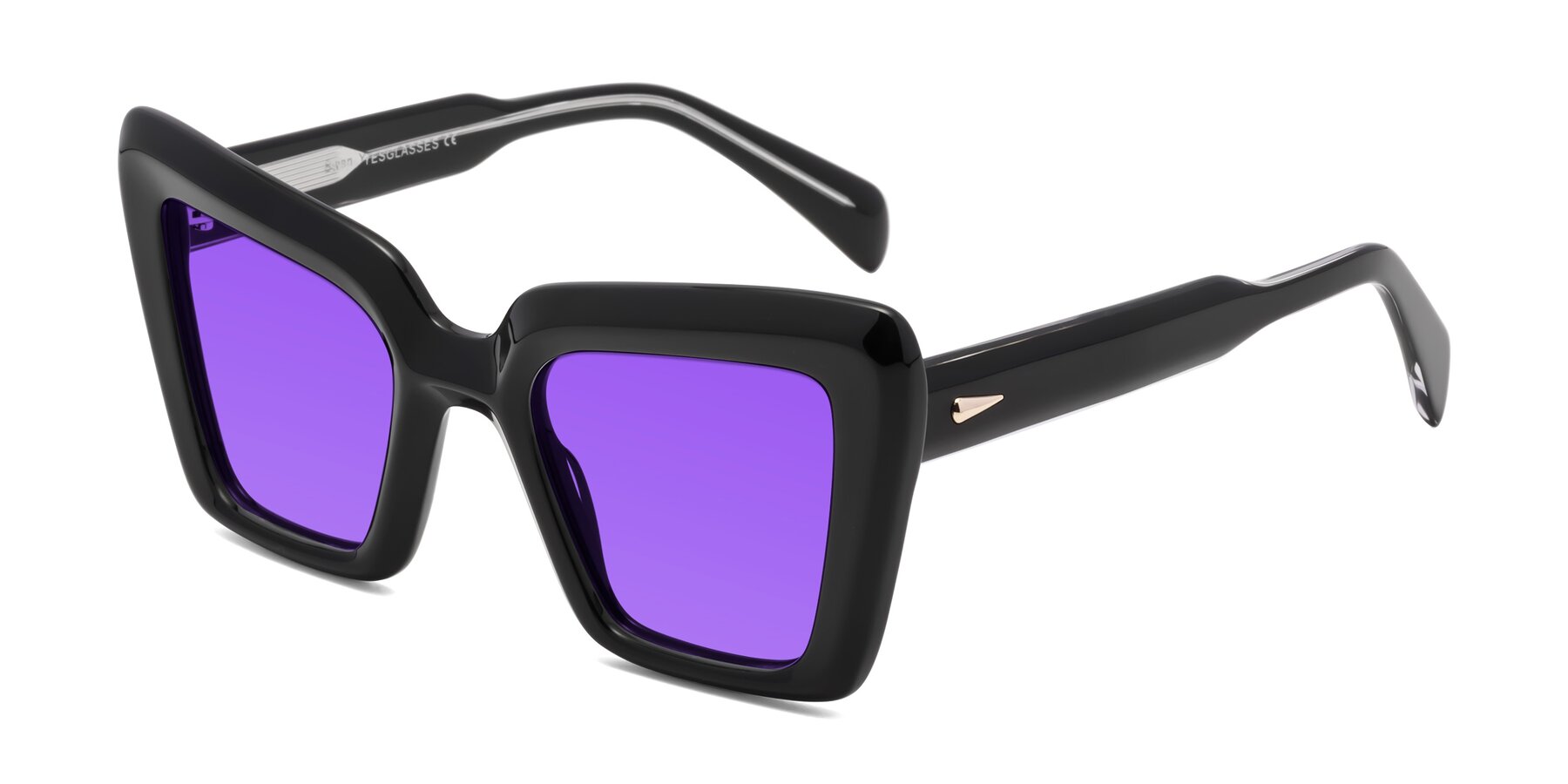 Angle of Swan in Black with Purple Tinted Lenses