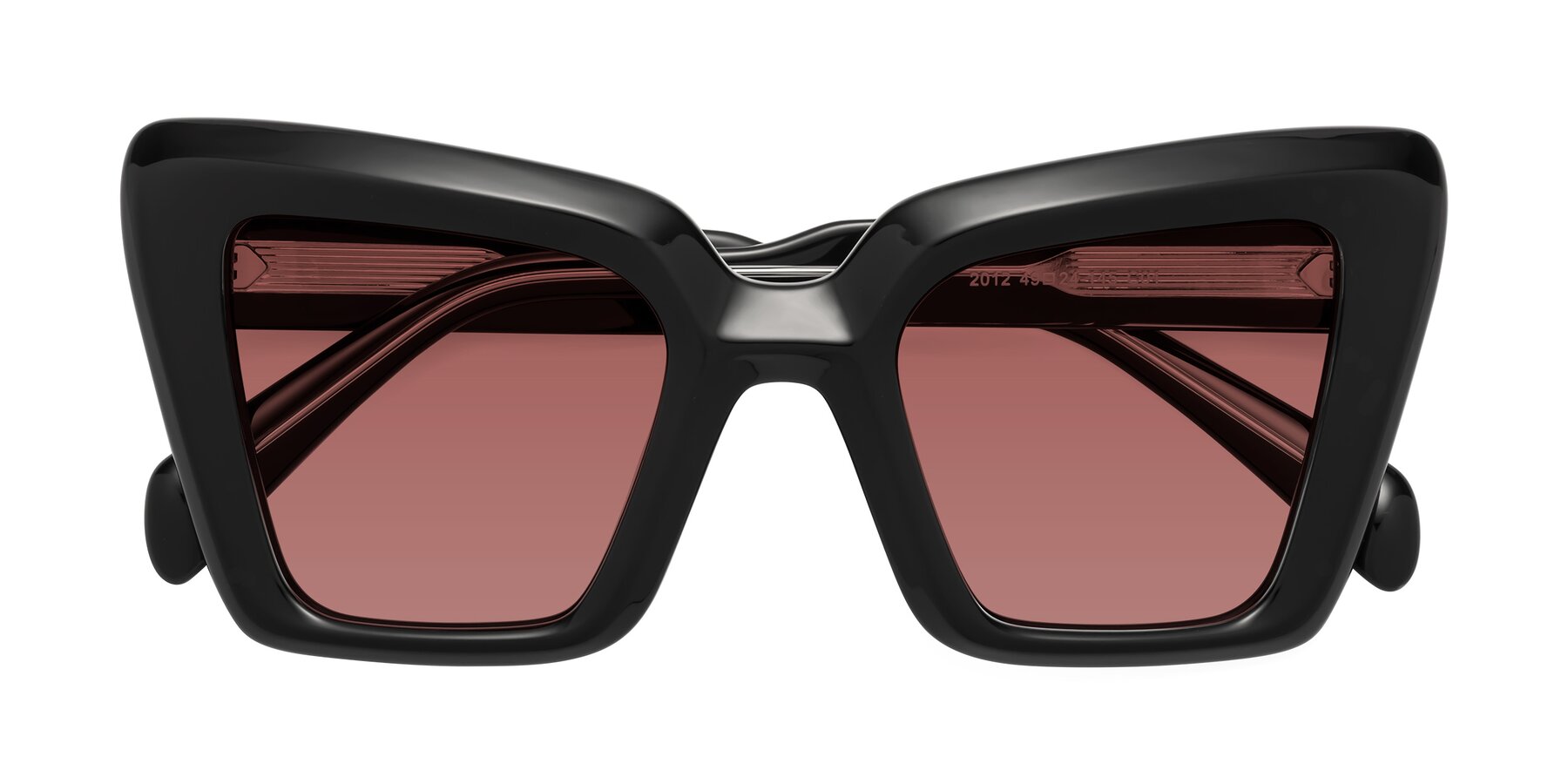 Folded Front of Swan in Black with Garnet Tinted Lenses