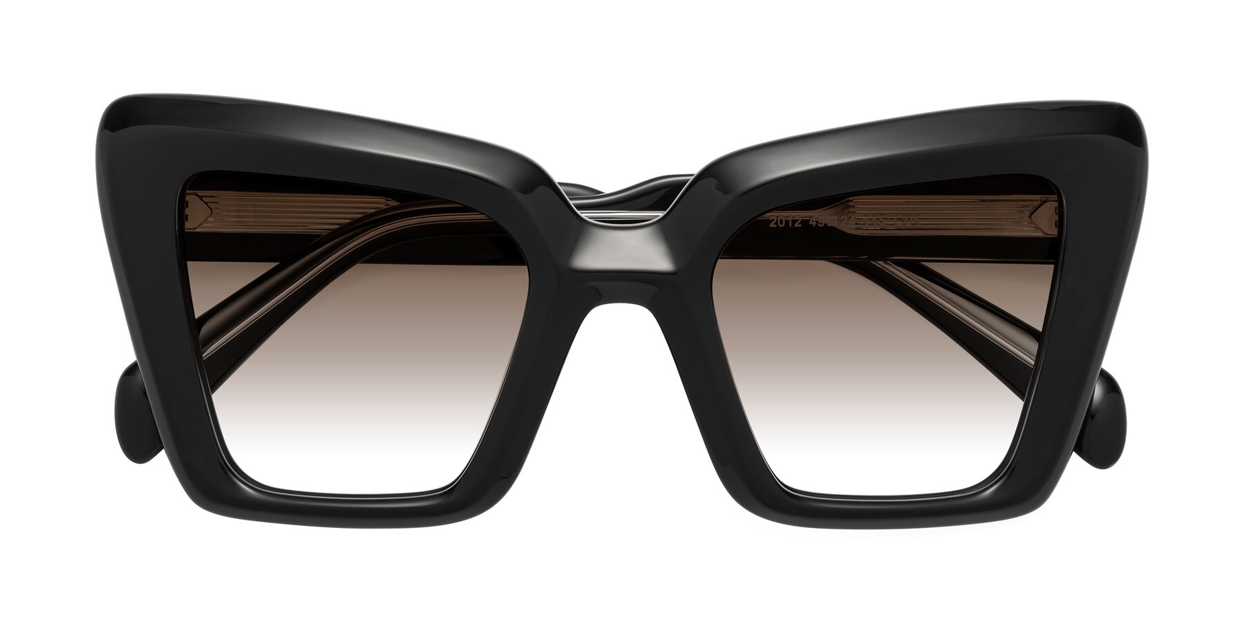 Folded Front of Swan in Black with Brown Gradient Lenses