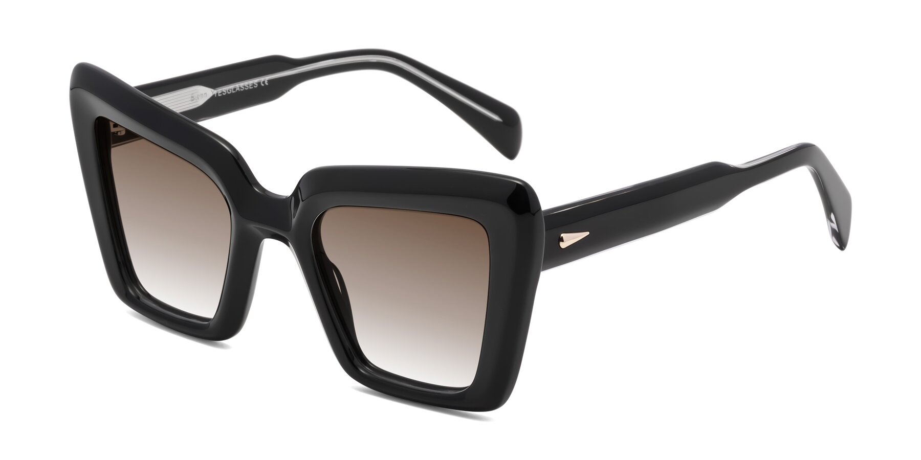 Angle of Swan in Black with Brown Gradient Lenses
