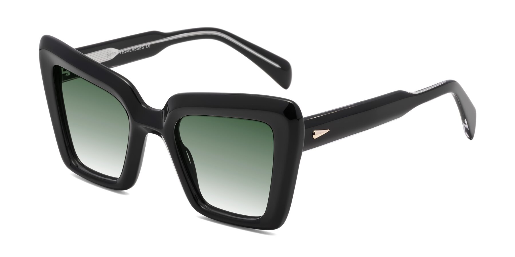 Angle of Swan in Black with Green Gradient Lenses