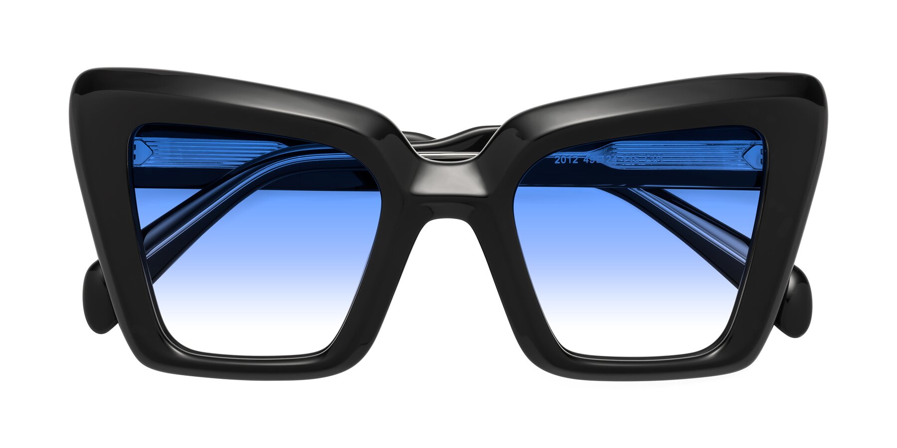 Folded Front of Swan in Black with Blue Gradient Lenses