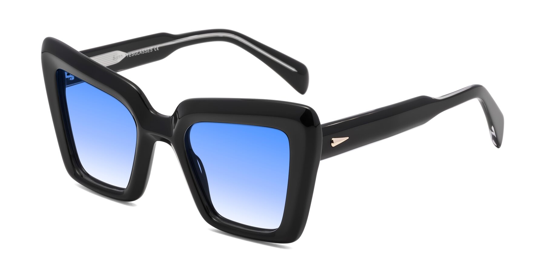 Angle of Swan in Black with Blue Gradient Lenses