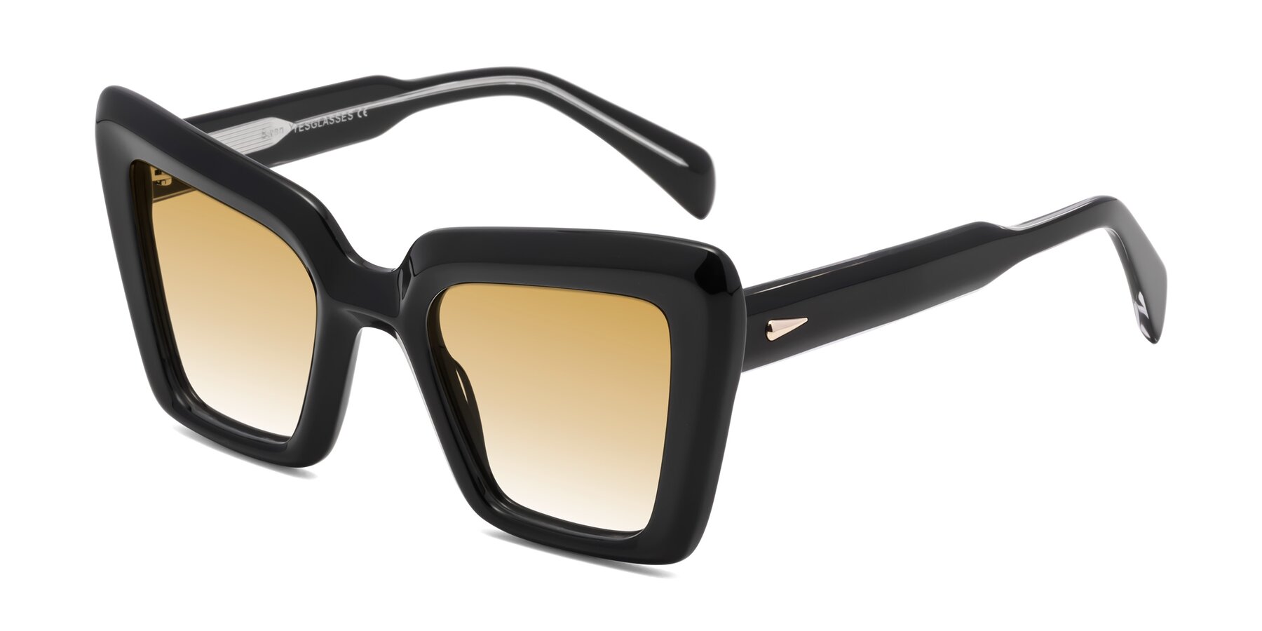 Angle of Swan in Black with Champagne Gradient Lenses