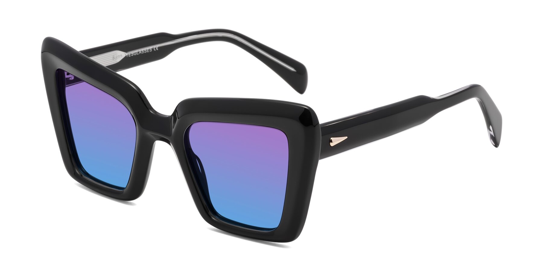 Angle of Swan in Black with Purple / Blue Gradient Lenses