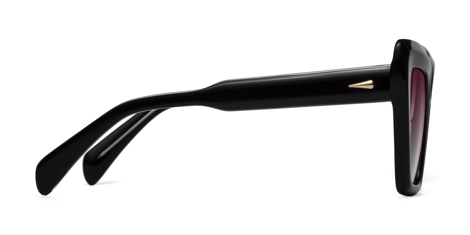 Side of Swan in Black with Wine Gradient Lenses