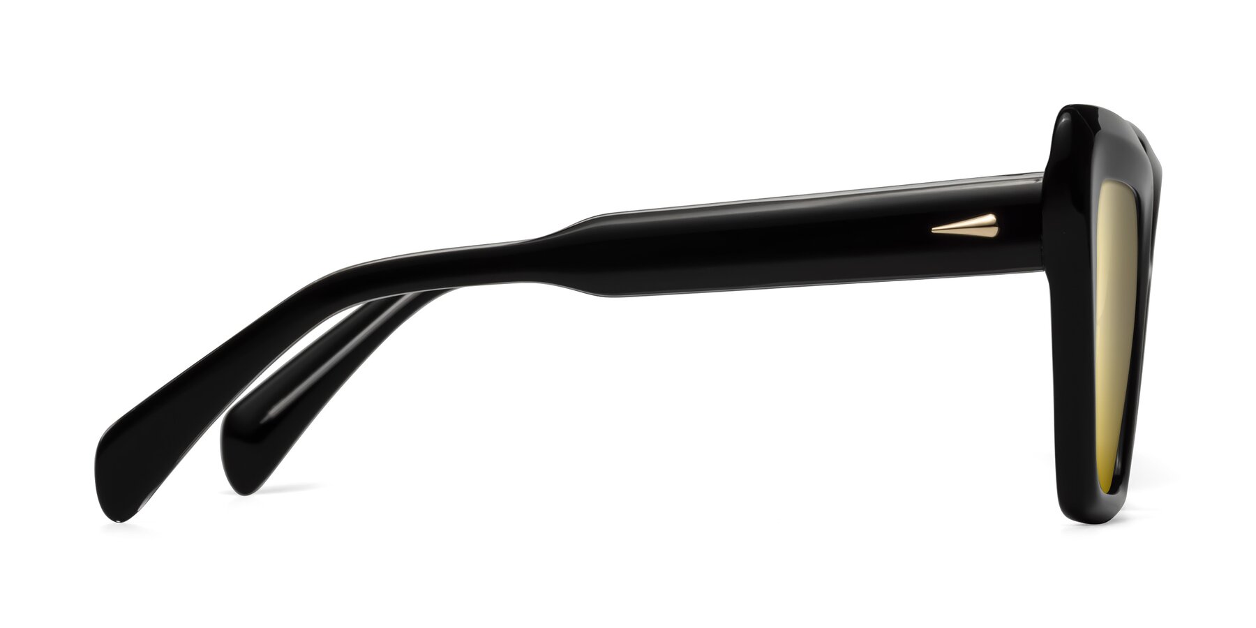 Side of Swan in Black with Gold Mirrored Lenses