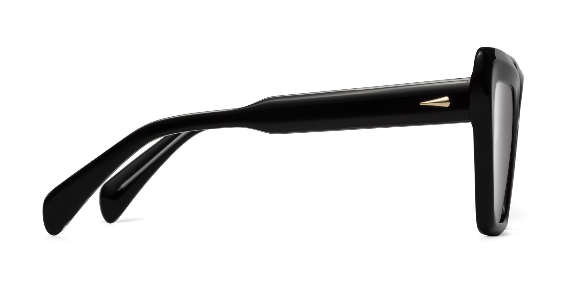 Side of Swan in Black with Silver Mirrored Lenses