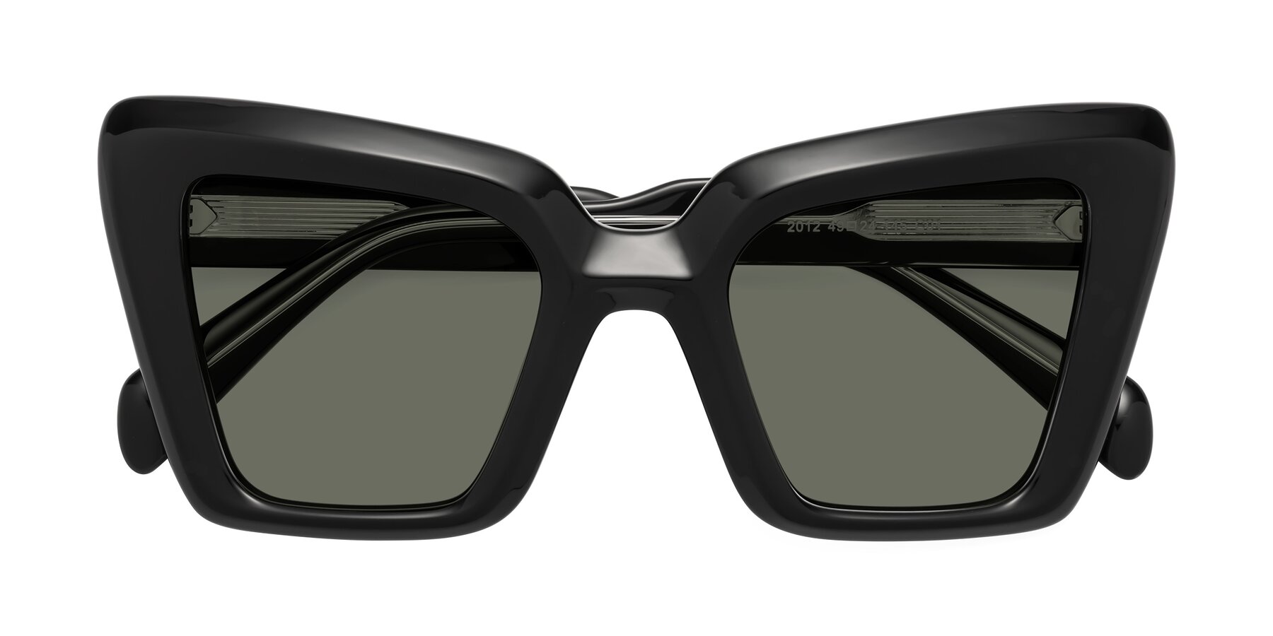 Folded Front of Swan in Black with Gray Polarized Lenses