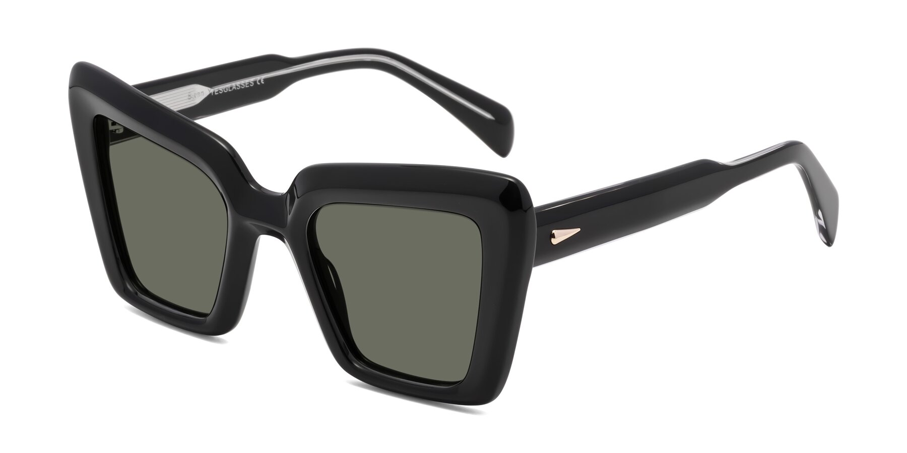 Angle of Swan in Black with Gray Polarized Lenses