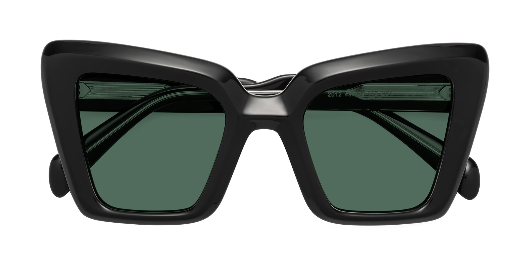 Folded Front of Swan in Black with Green Polarized Lenses