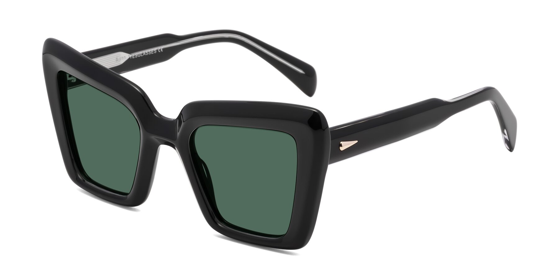 Angle of Swan in Black with Green Polarized Lenses
