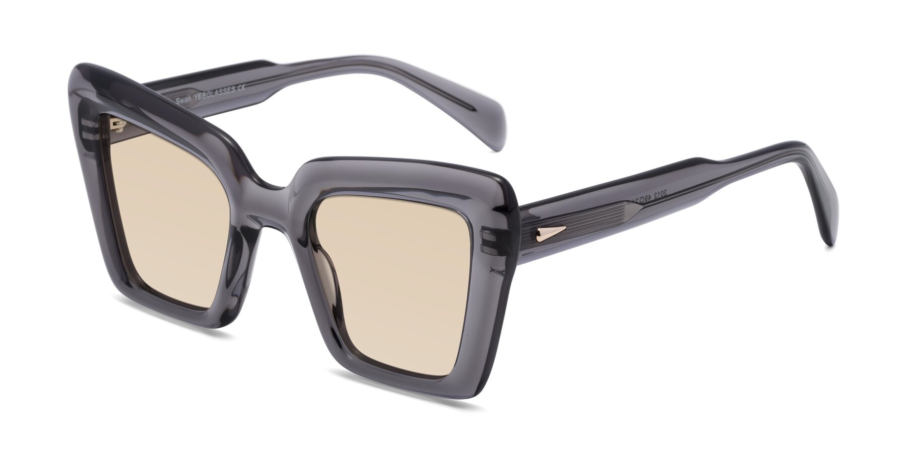 Angle of Swan in Transparent Gray with Light Brown Tinted Lenses