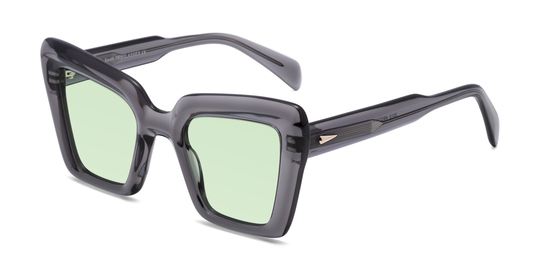 Angle of Swan in Transparent Gray with Light Green Tinted Lenses