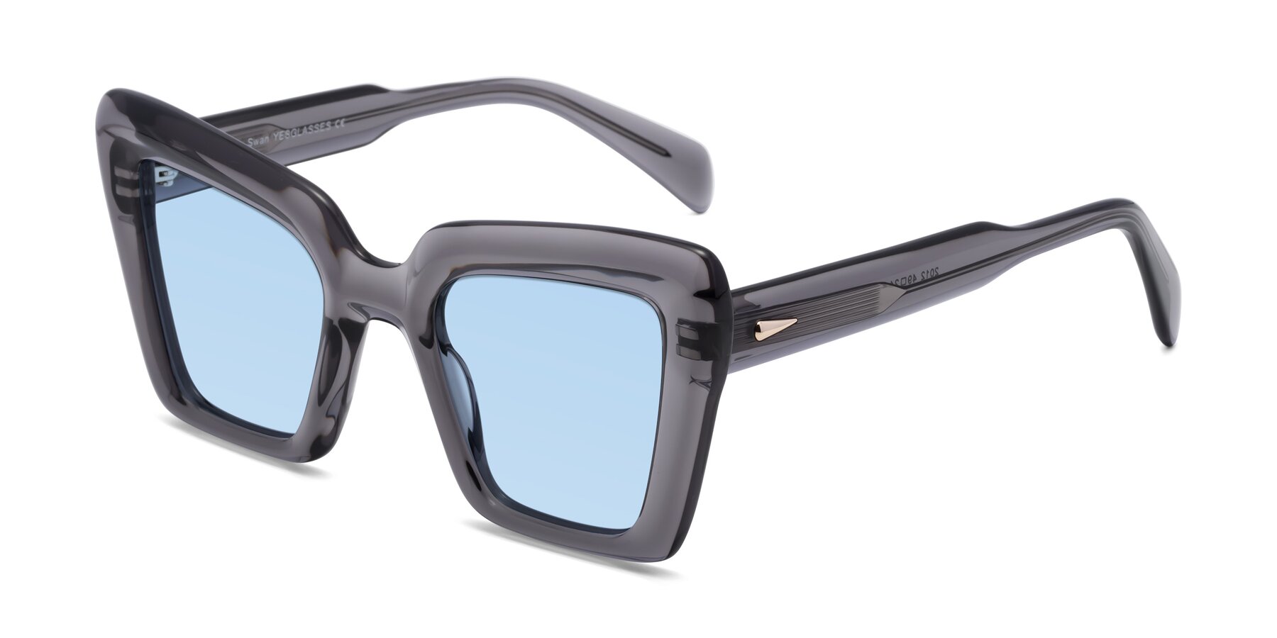 Angle of Swan in Transparent Gray with Light Blue Tinted Lenses