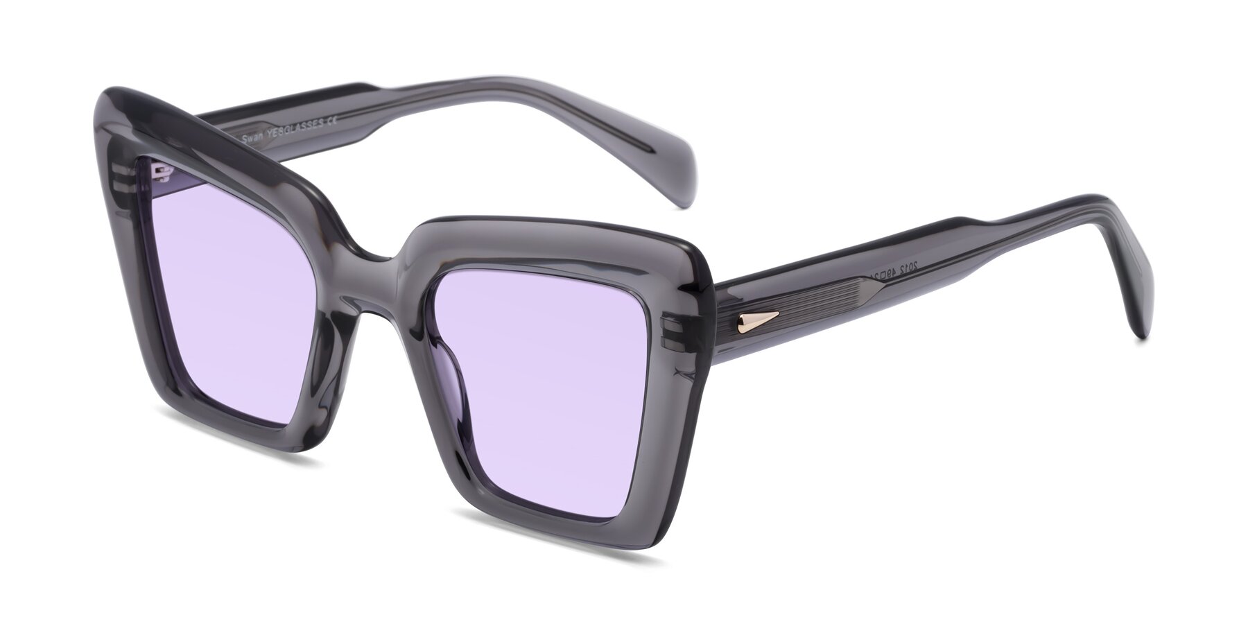 Angle of Swan in Transparent Gray with Light Purple Tinted Lenses