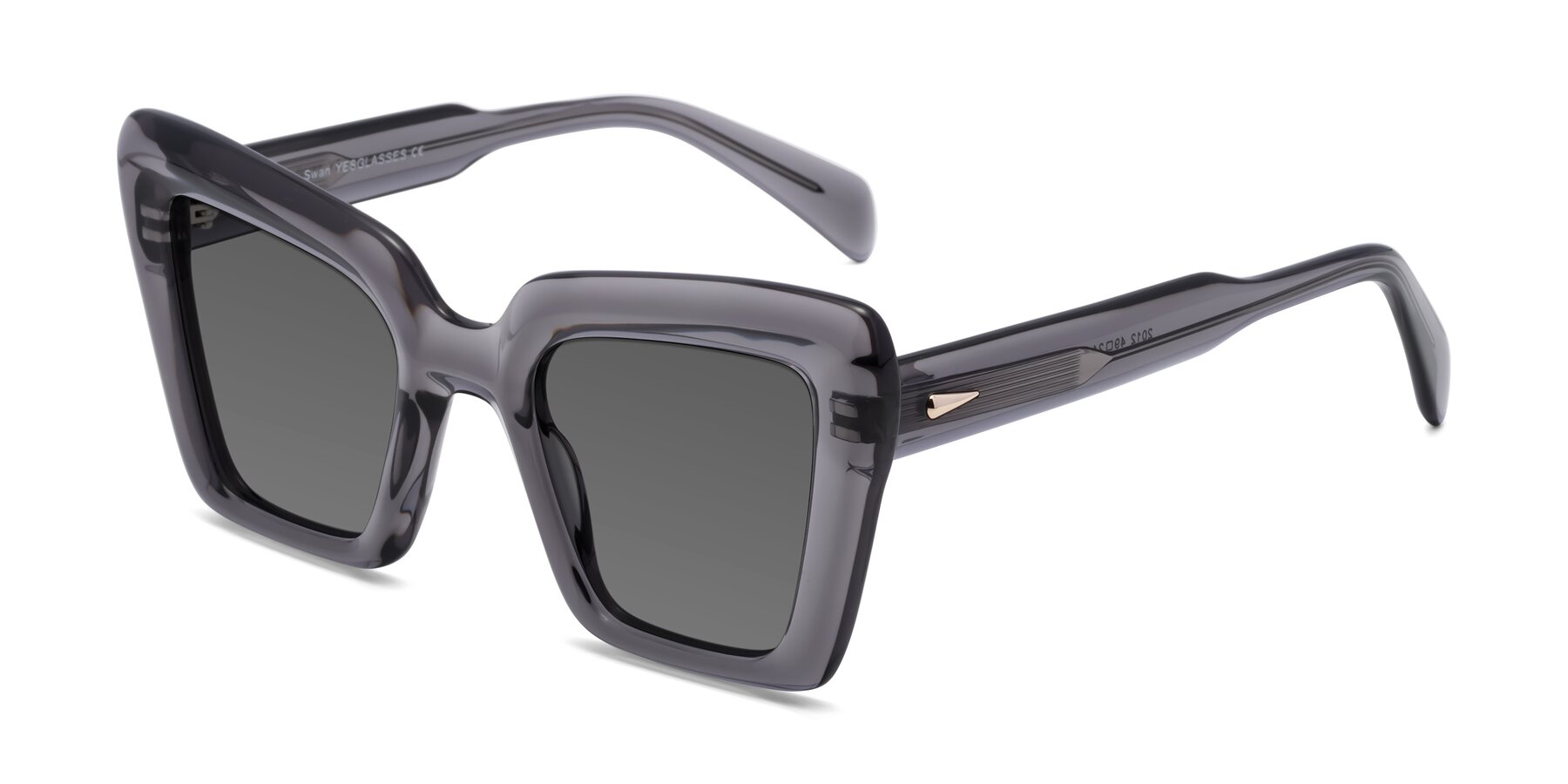 Angle of Swan in Transparent Gray with Medium Gray Tinted Lenses