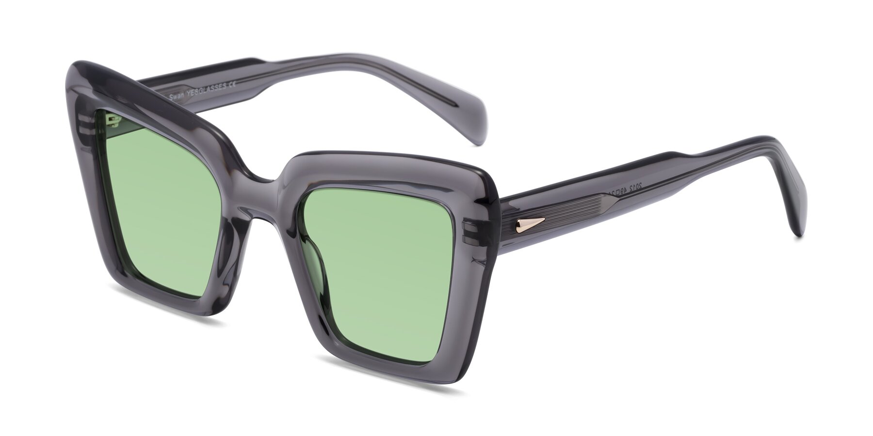 Angle of Swan in Transparent Gray with Medium Green Tinted Lenses