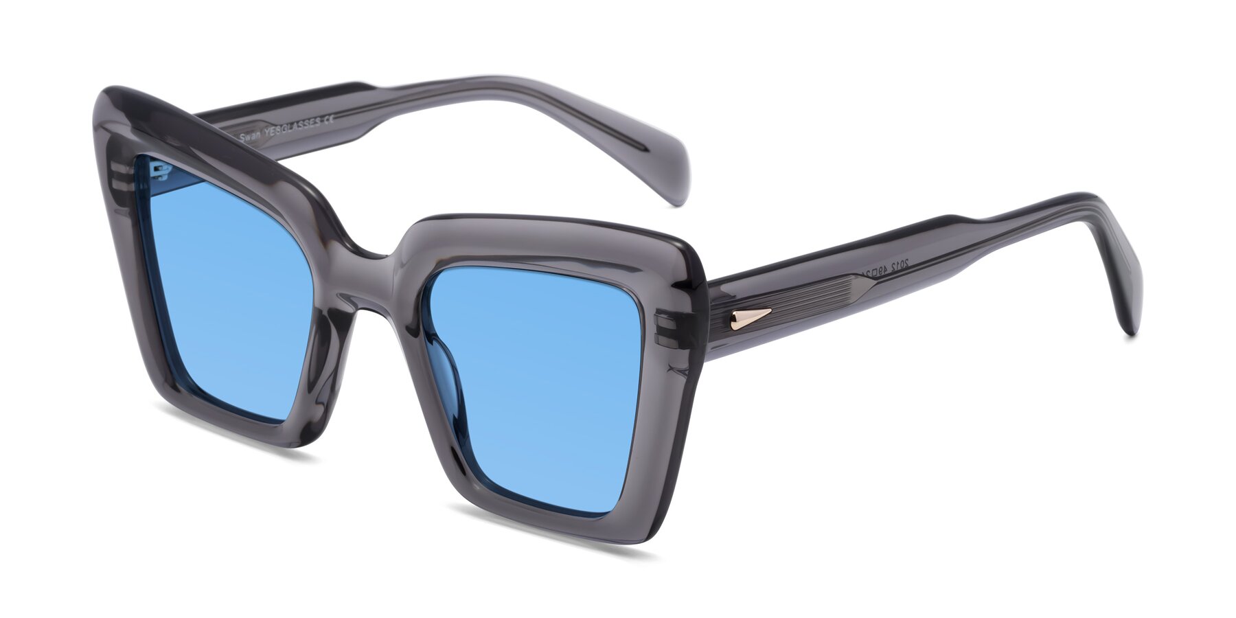 Angle of Swan in Transparent Gray with Medium Blue Tinted Lenses