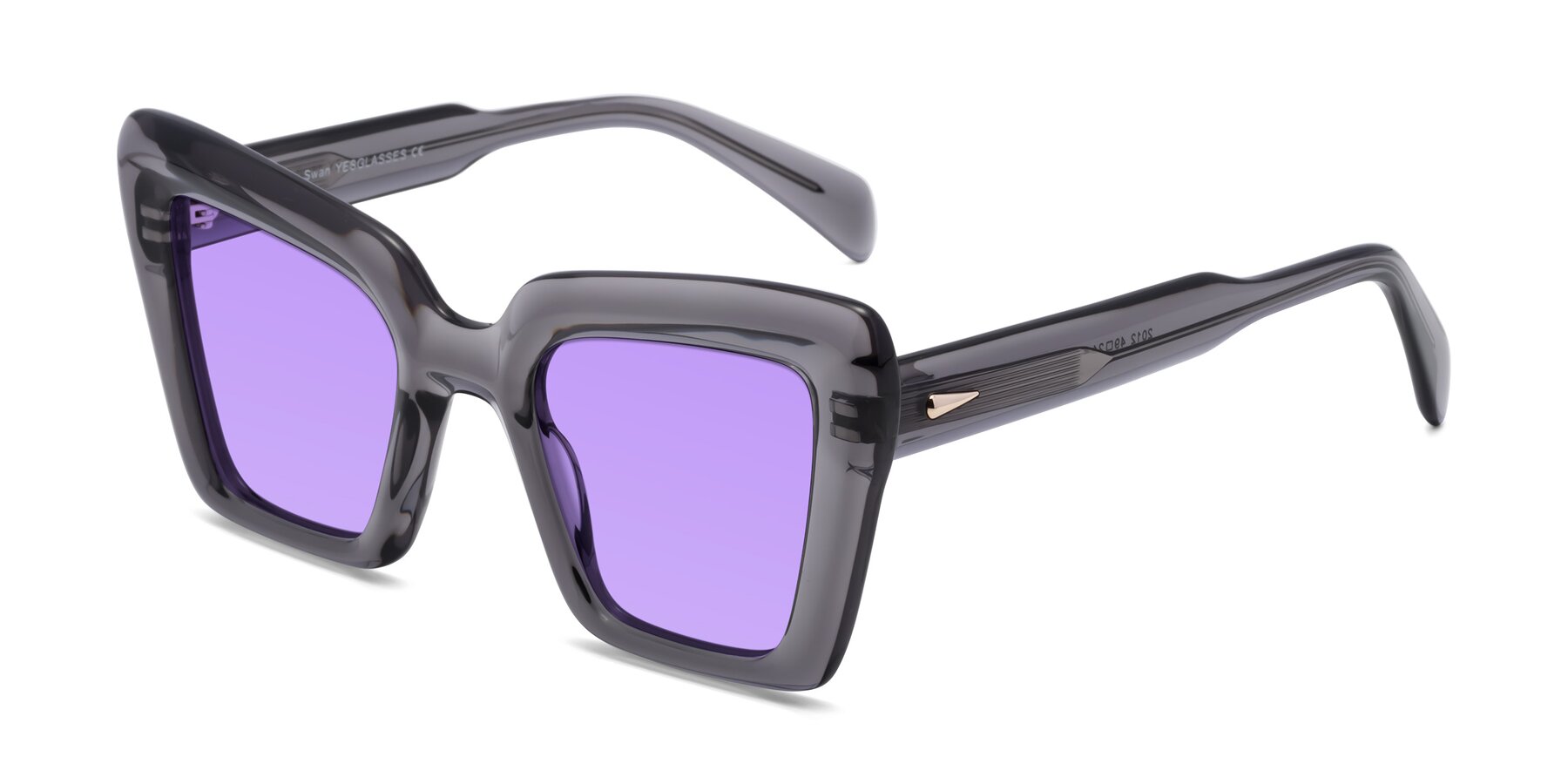 Angle of Swan in Transparent Gray with Medium Purple Tinted Lenses