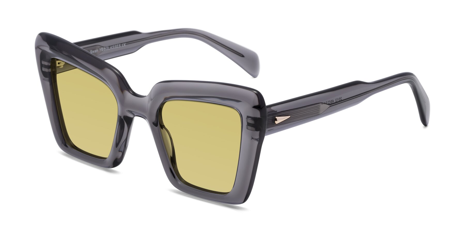 Angle of Swan in Transparent Gray with Medium Champagne Tinted Lenses