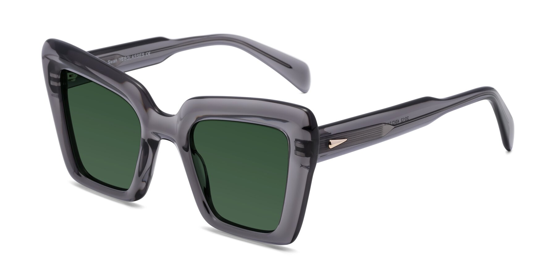 Angle of Swan in Transparent Gray with Green Tinted Lenses