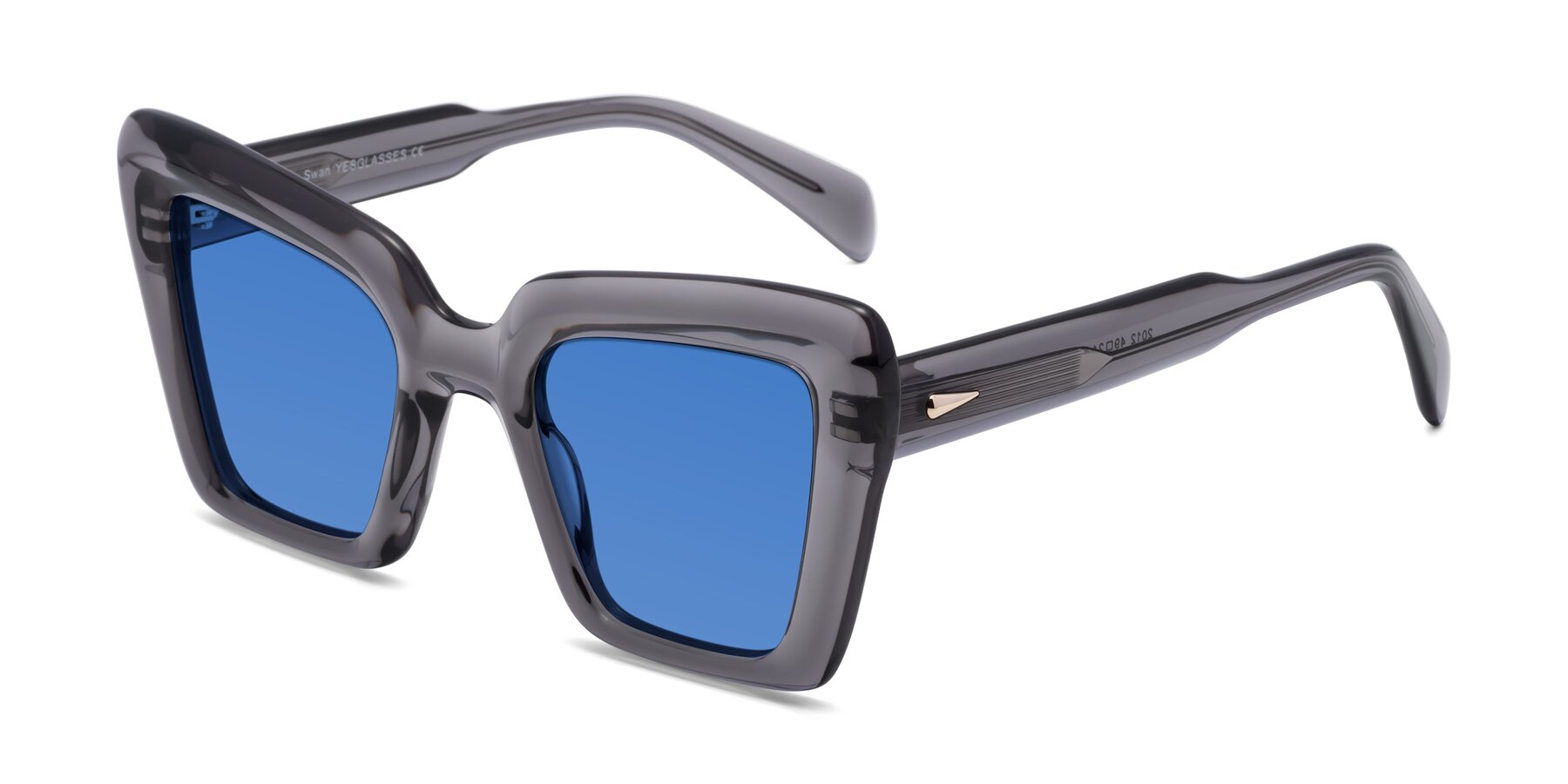 Angle of Swan in Transparent Gray with Blue Tinted Lenses