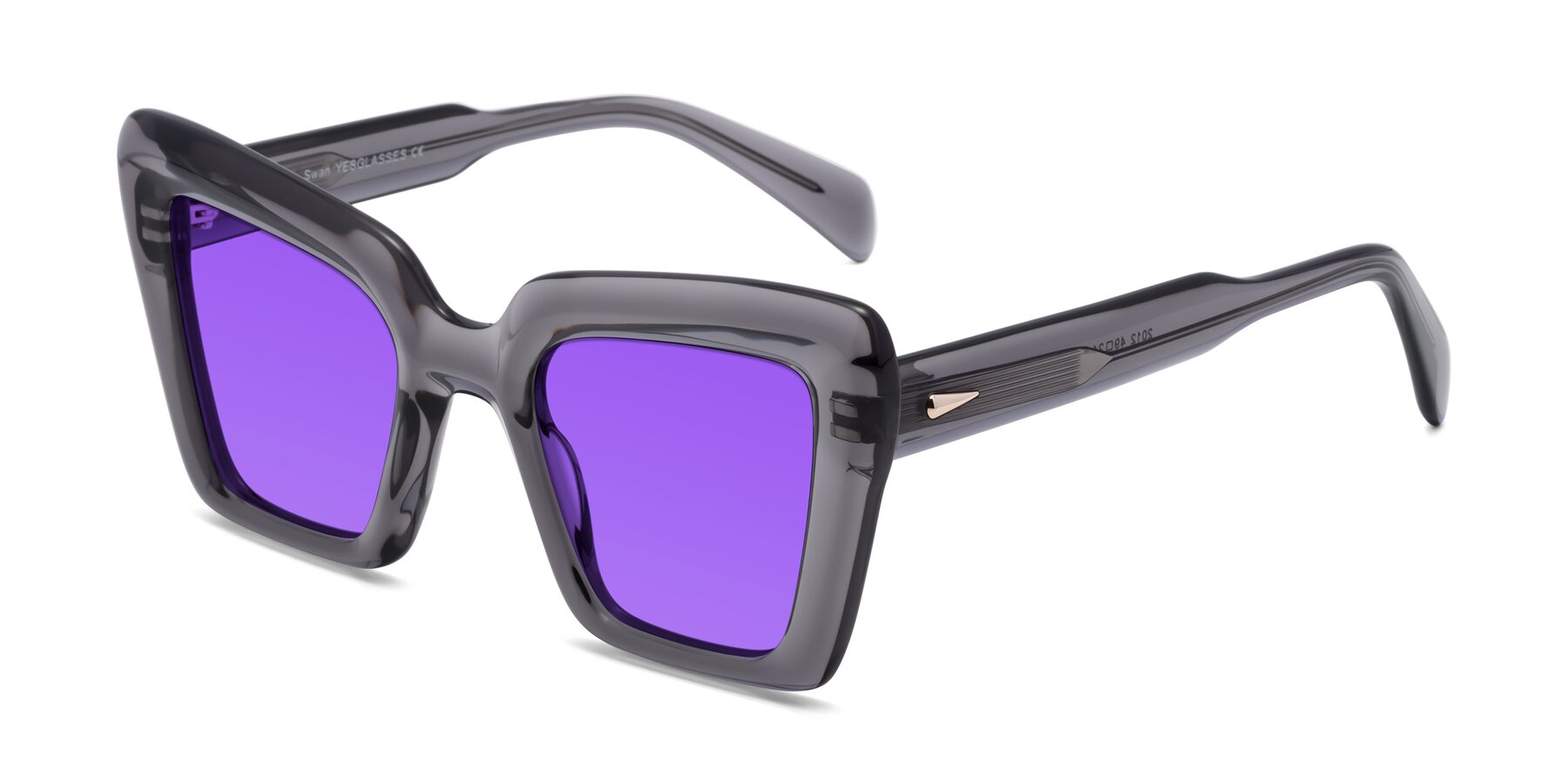 Angle of Swan in Transparent Gray with Purple Tinted Lenses
