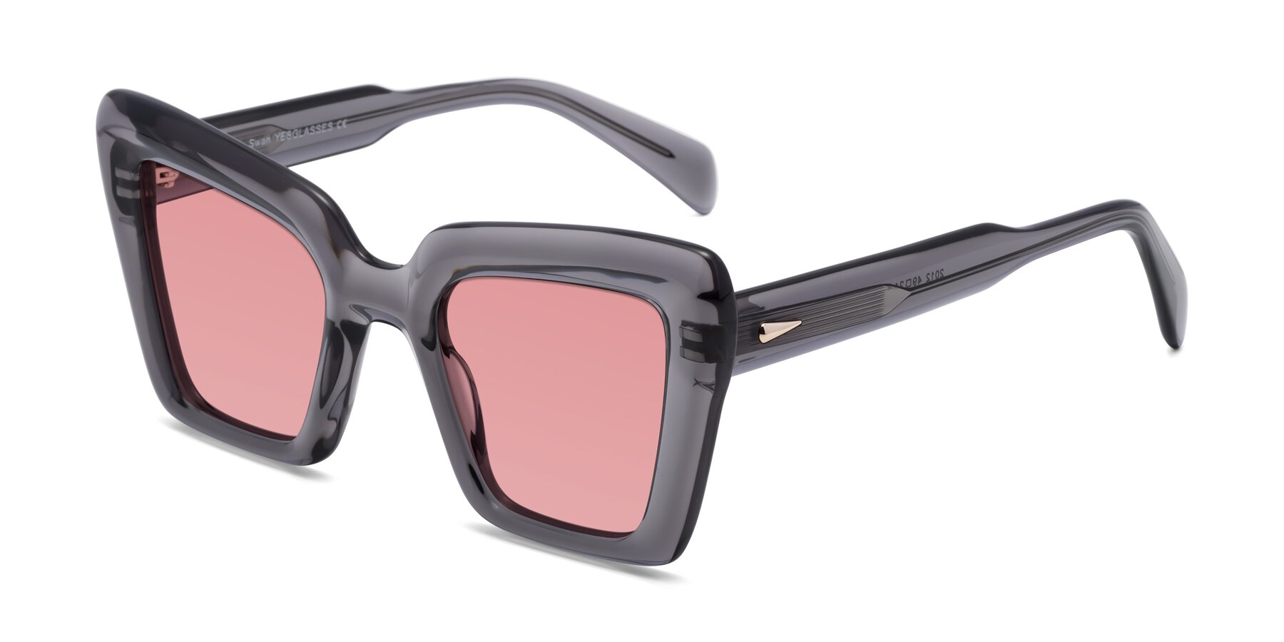 Angle of Swan in Transparent Gray with Medium Garnet Tinted Lenses