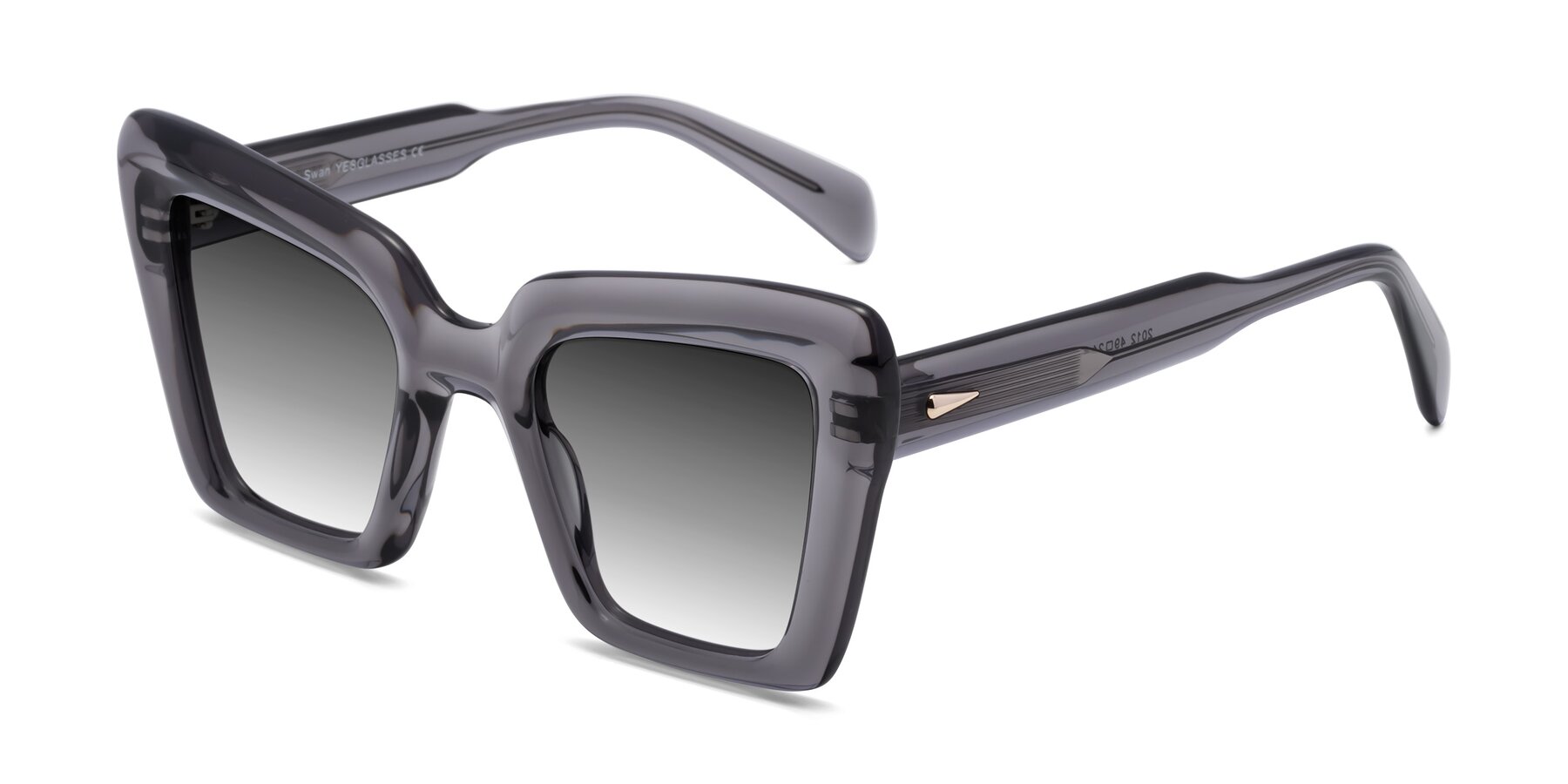 Angle of Swan in Transparent Gray with Gray Gradient Lenses