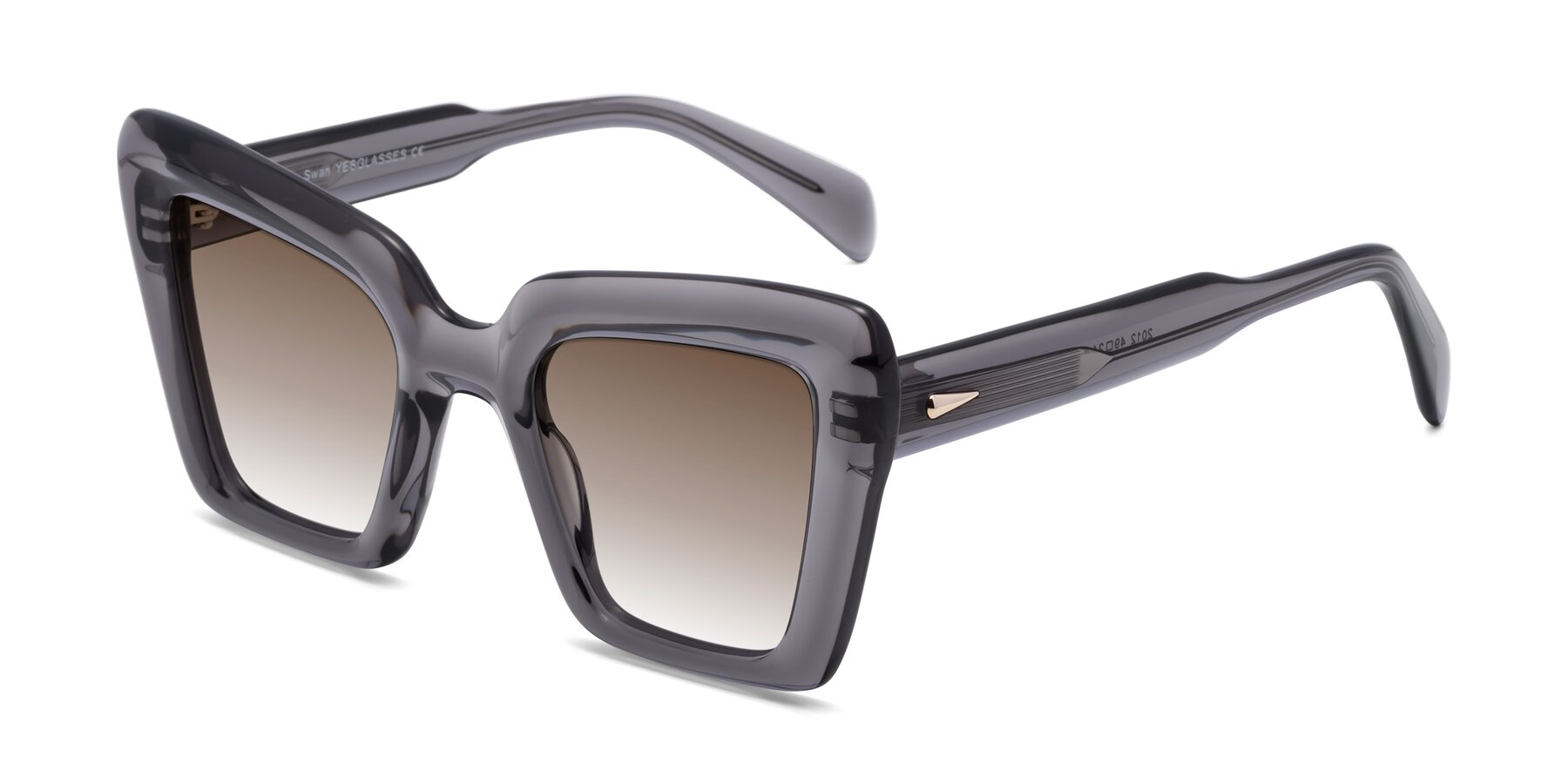 Angle of Swan in Transparent Gray with Brown Gradient Lenses