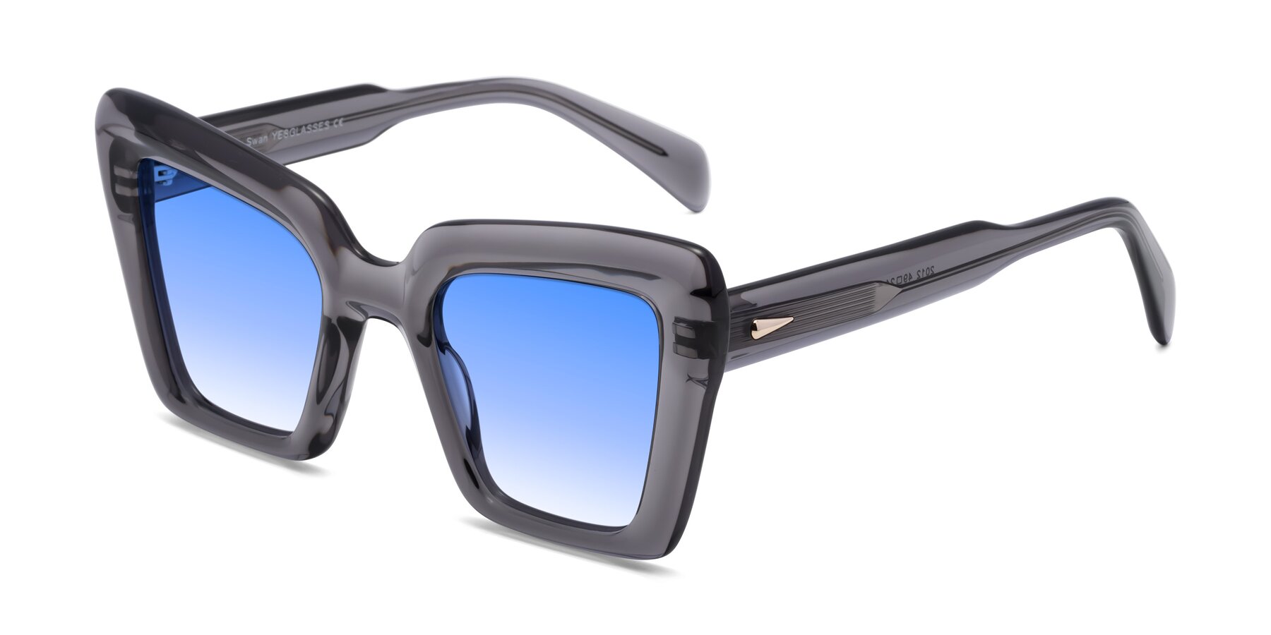 Angle of Swan in Transparent Gray with Blue Gradient Lenses
