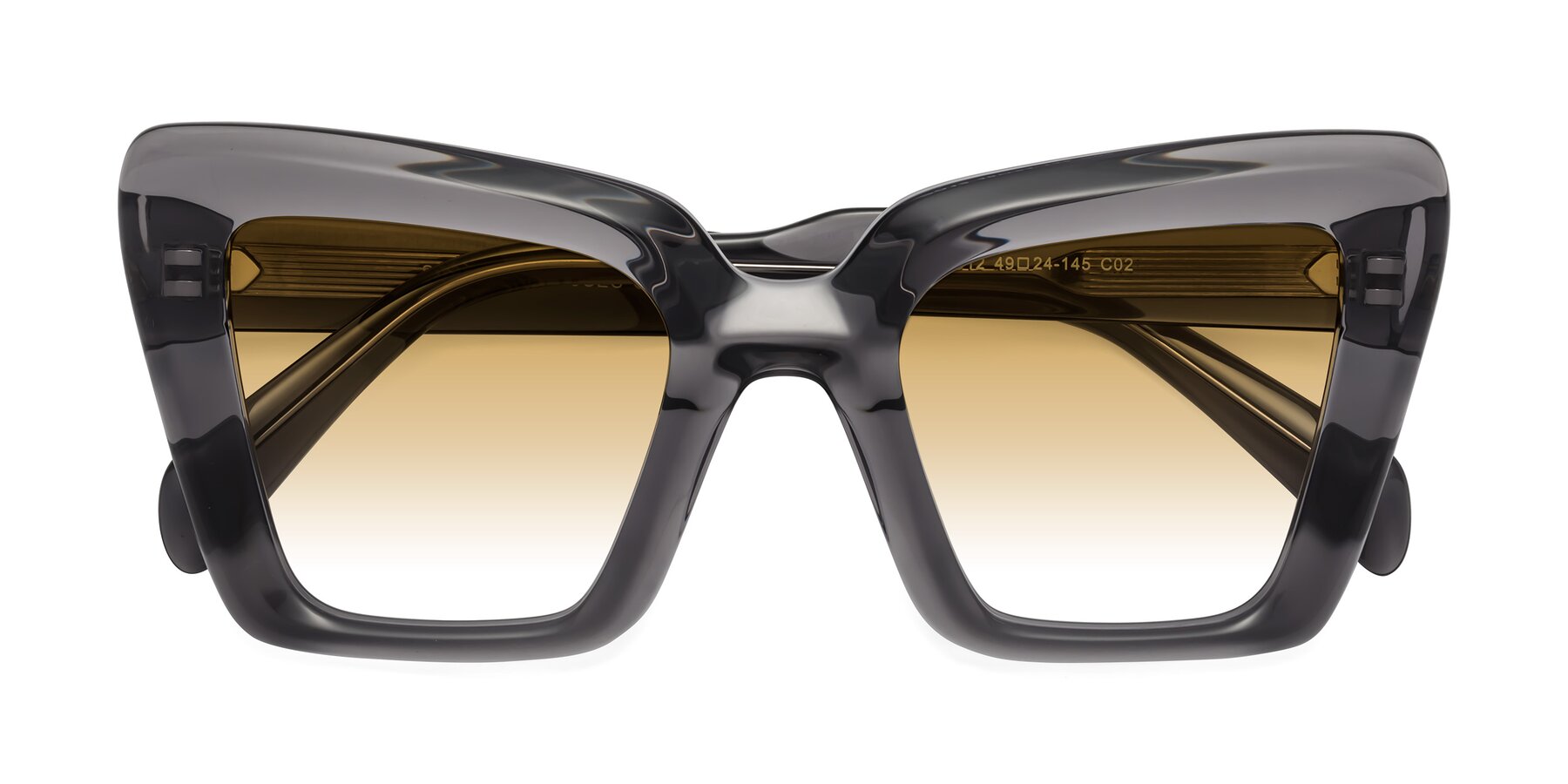 Folded Front of Swan in Transparent Gray with Champagne Gradient Lenses