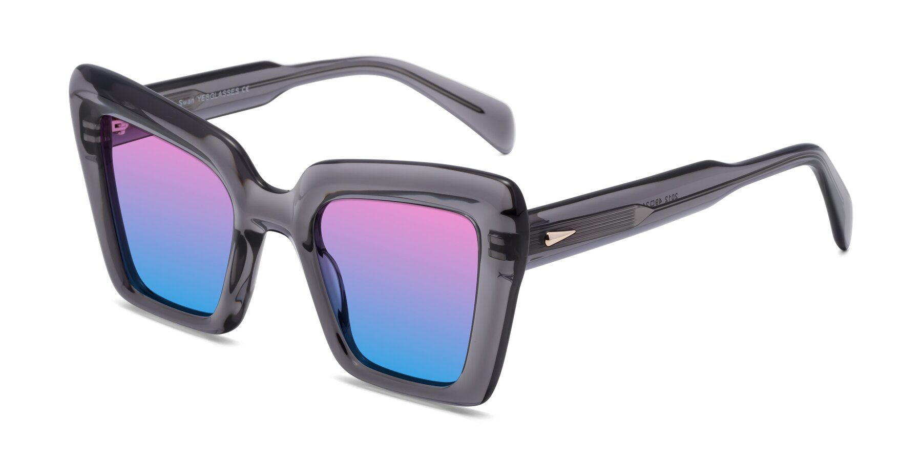 Angle of Swan in Transparent Gray with Pink / Blue Gradient Lenses