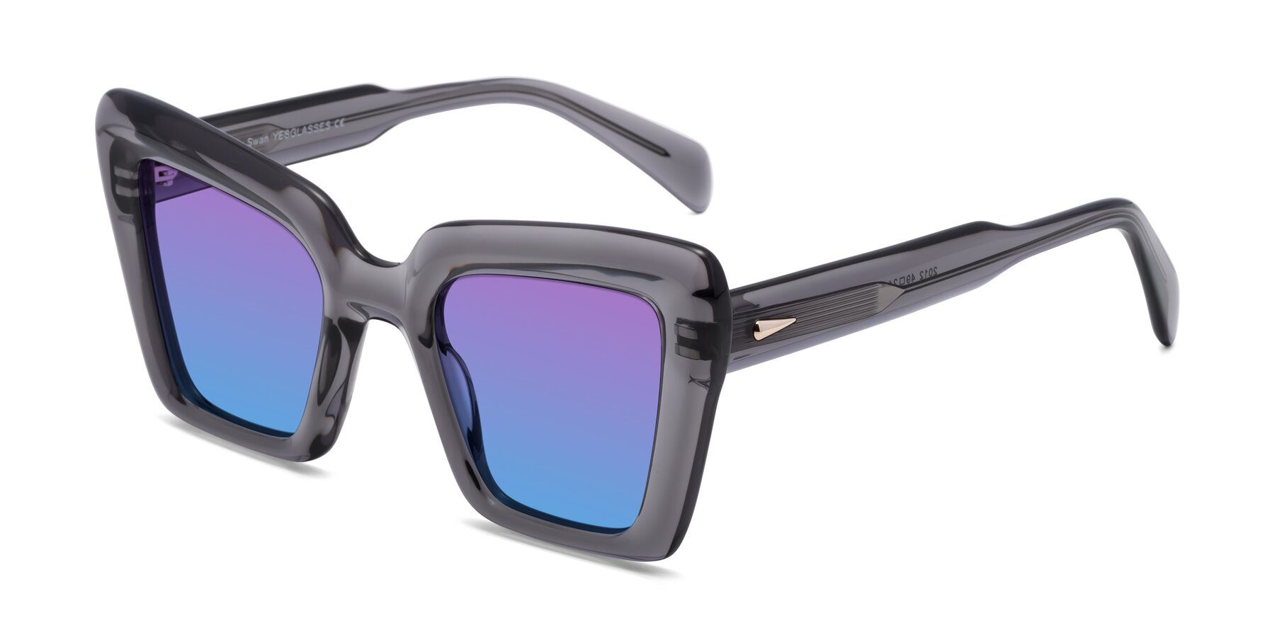 Angle of Swan in Transparent Gray with Purple / Blue Gradient Lenses